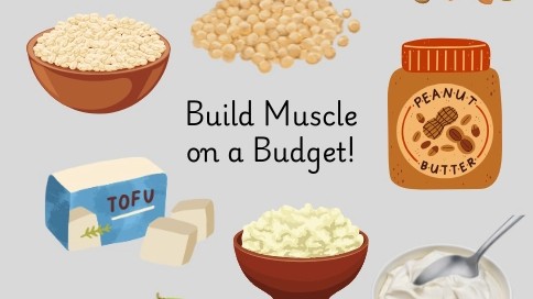 Best cheap high protein foods for muscle gain Cover